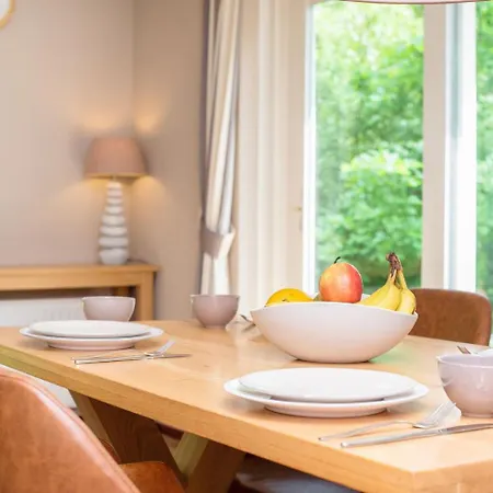 Luxury 4-Person Bungalow In The Holiday Park Landal Twenhaarsveld-3